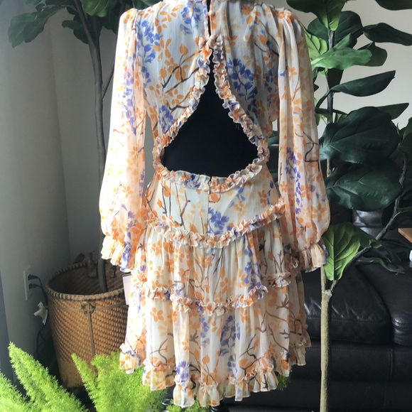 Gorgeous ruffle chiffon dress - Picture 2 of 10